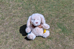 PXL_20260704_134621255